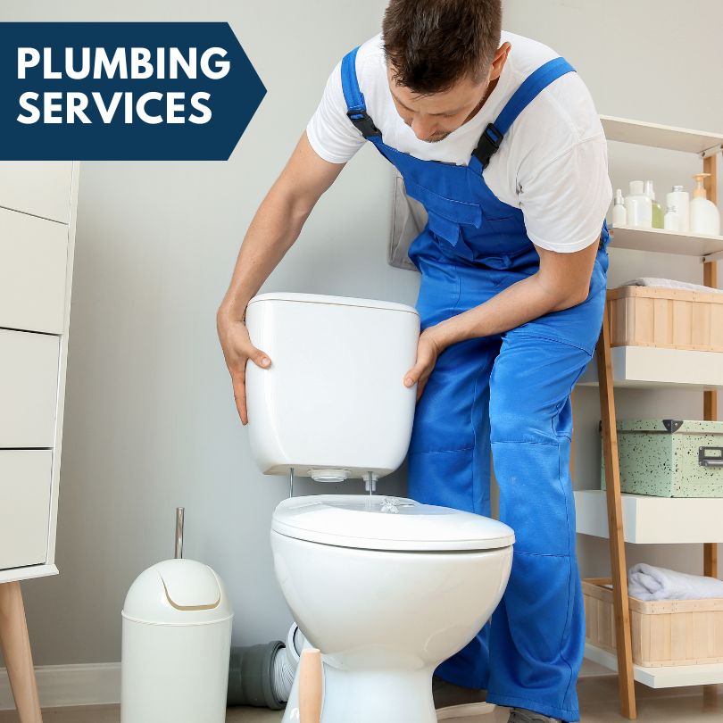 Plumbing Company in Brohman, MI